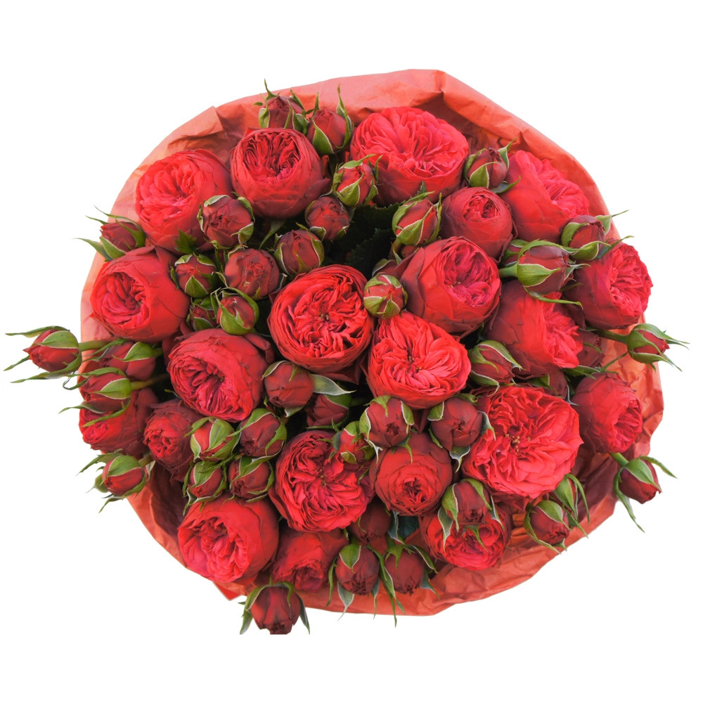 Букет из кустовых пионовидных роз Red Piano в Бородино Красноярского края