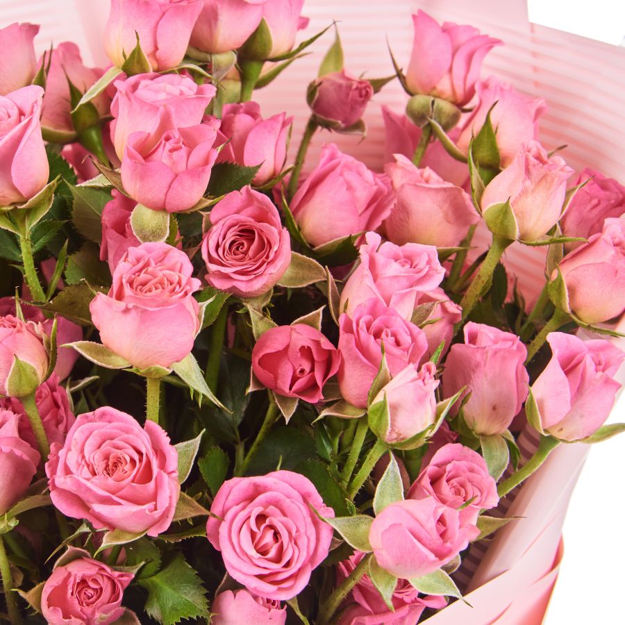 Букет из 7 розовых кустовых роз