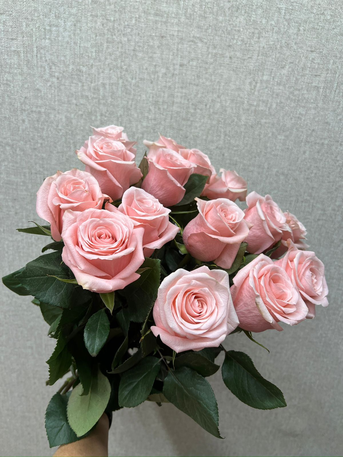 Букет из 15 розовых роз в Бородино Красноярского края Букет из 15 розовых роз Бородино Красноярский край